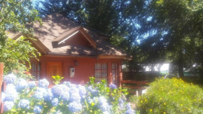 Ximena's Cabin